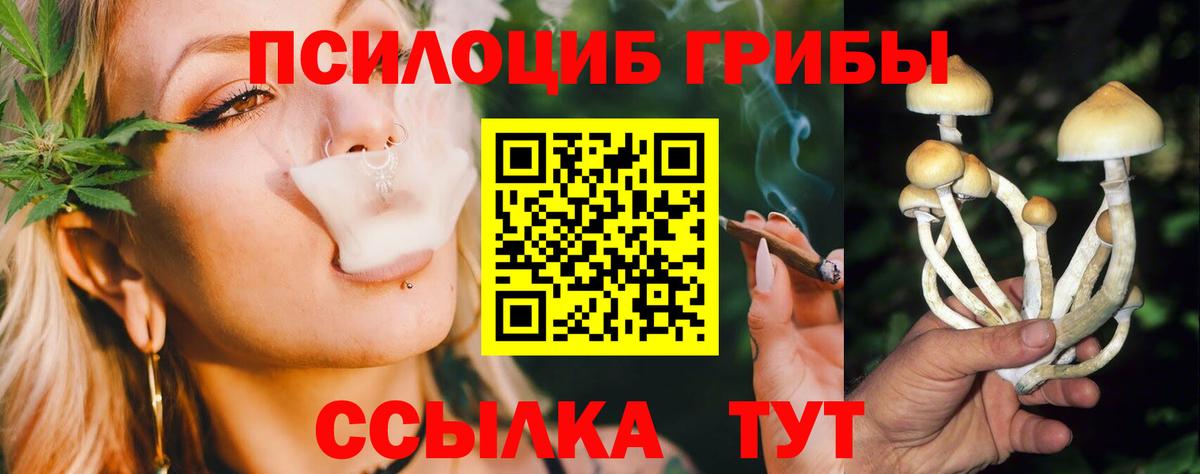 Галлюциногенные грибы ЛСД Малоярославец