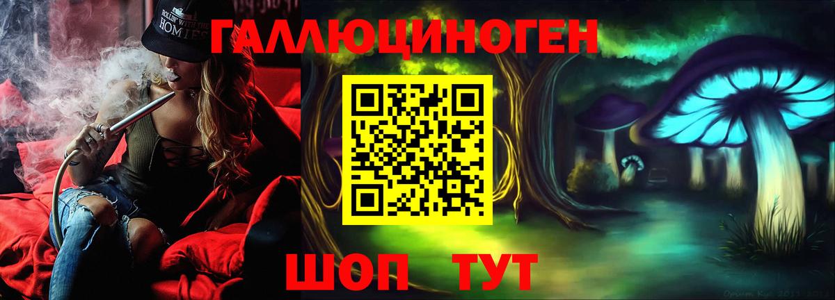 Малоярославец  Галлюциногенные грибы мицелий  Вход с VPN  Псилоцибиновые грибы прущие грибы 